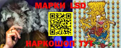 стаф Бугуруслан