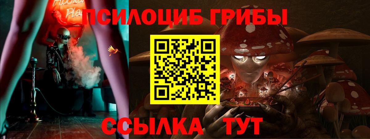 Псилоцибиновые грибы GOLDEN TEACHER Славгород