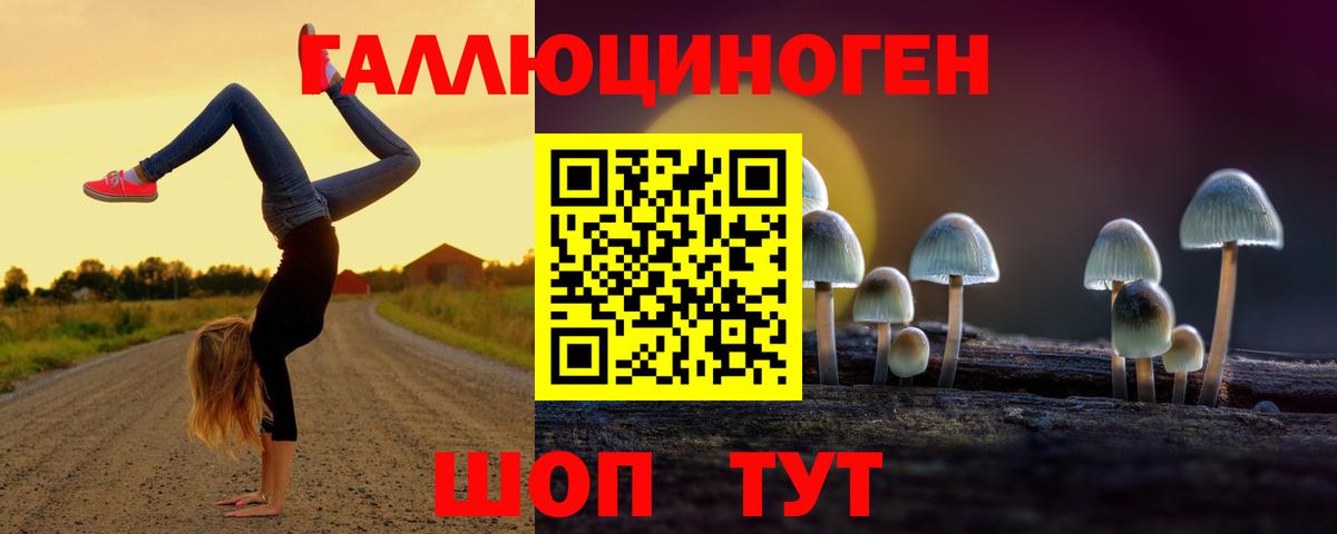 Псилоцибиновые грибы мухоморы  Вход с VPN  Славгород  Галлюциногенные грибы GOLDEN TEACHER 