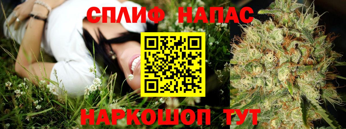 Марихуана Bruce Banner  Вход с VPN  Славгород  Бошки Шишки SATIVA & INDICA  Бошки Шишки Bruce Banner 